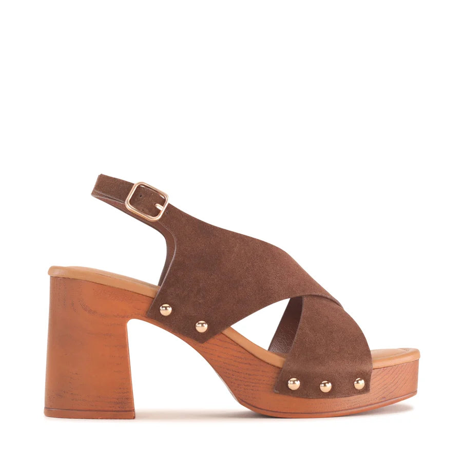 Los Cabos Anabella Chestnut