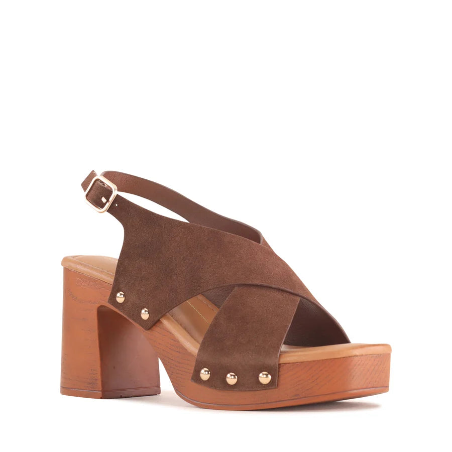 Los Cabos Anabella Chestnut