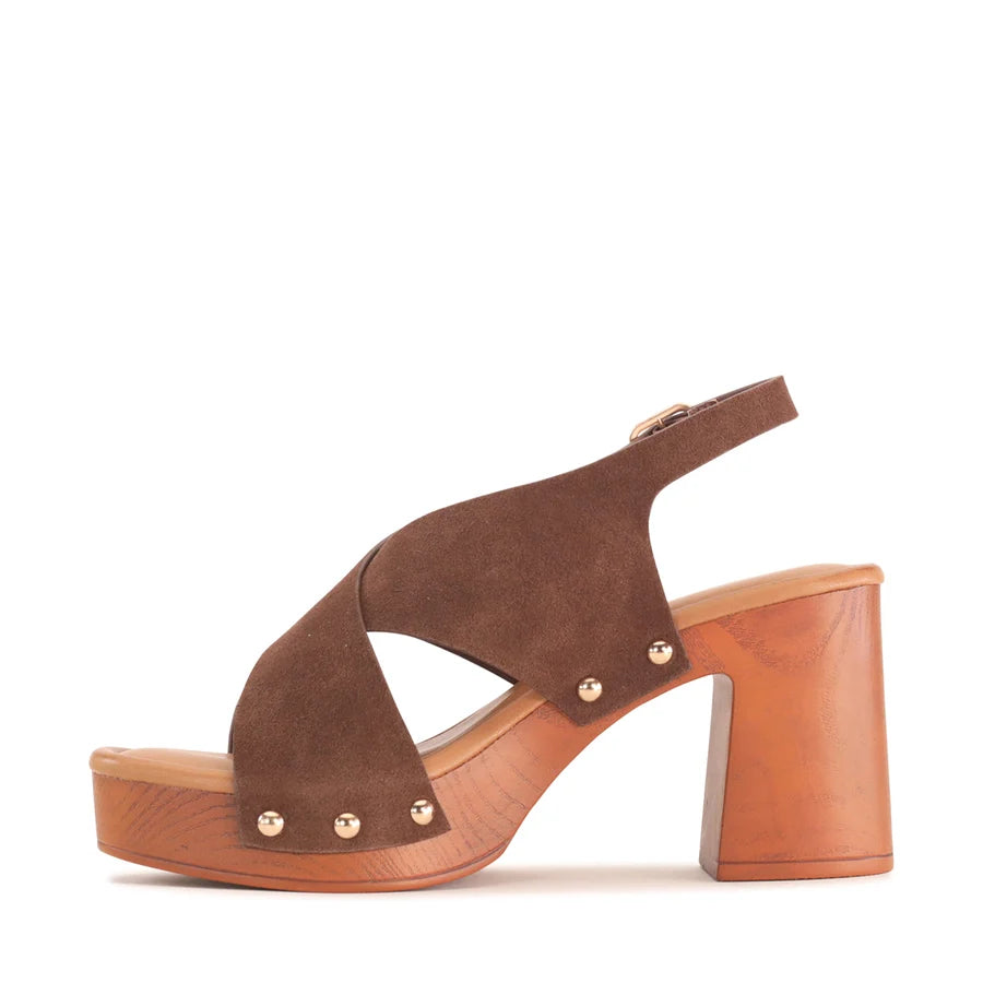 Los Cabos Anabella Chestnut