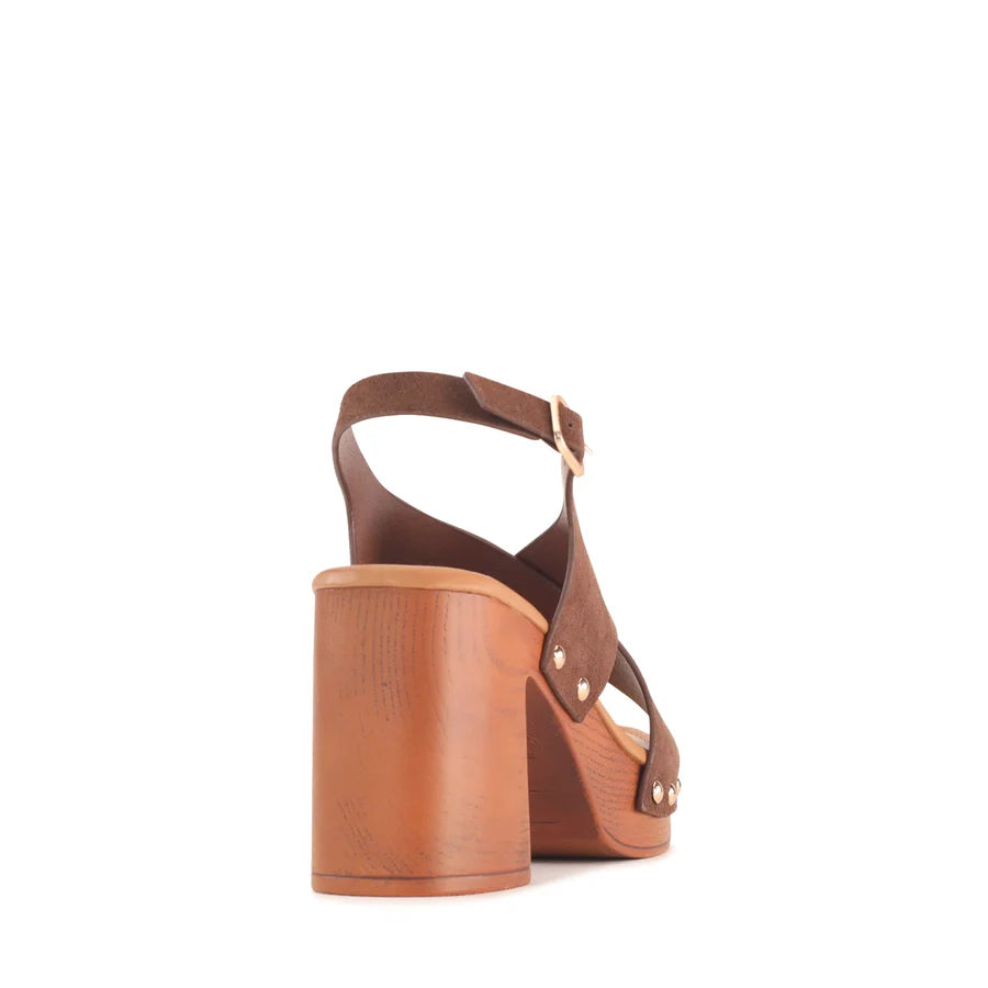 Los Cabos Anabella Chestnut