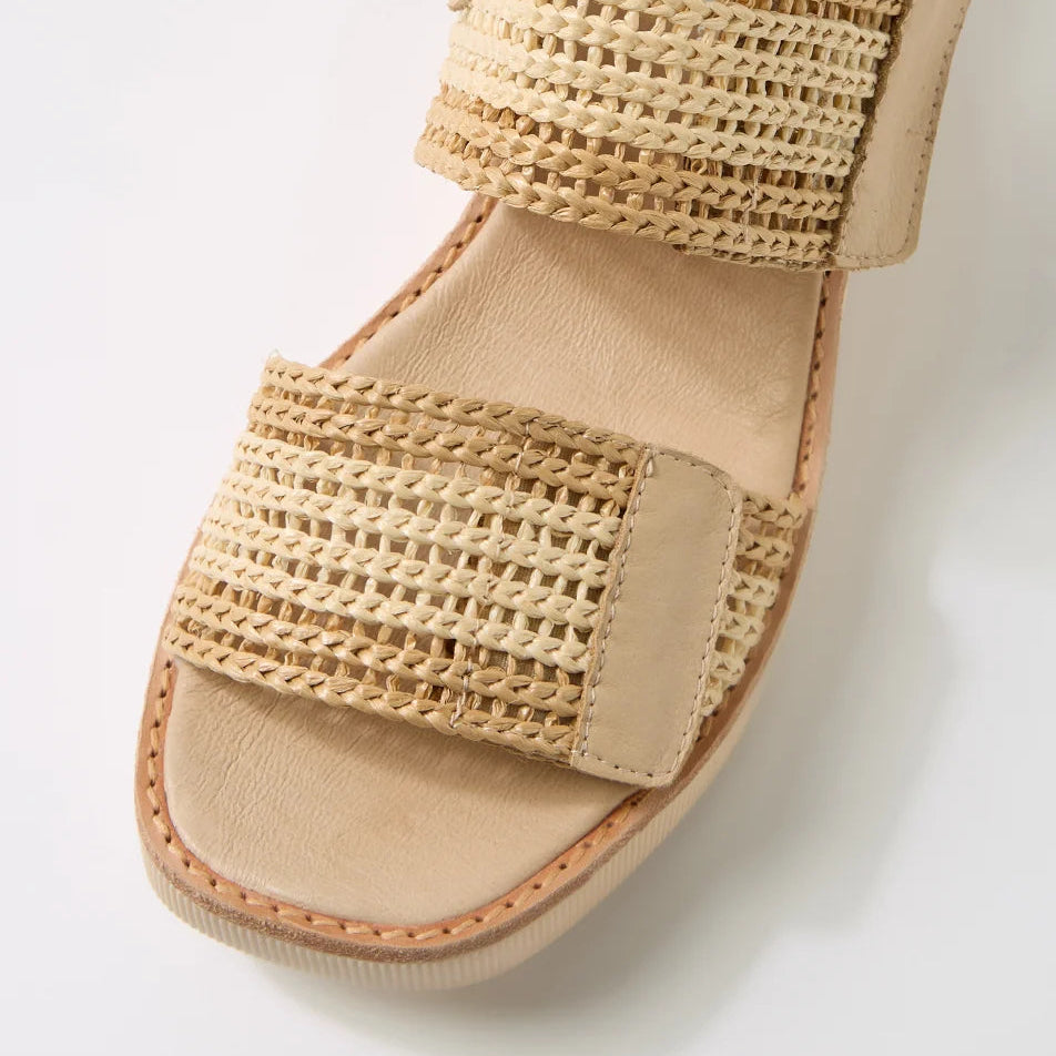 D & J Taylor Raffia