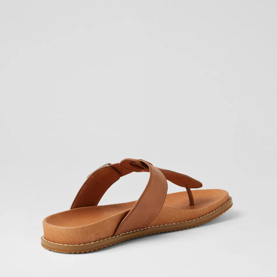 D & J Ninx Tan