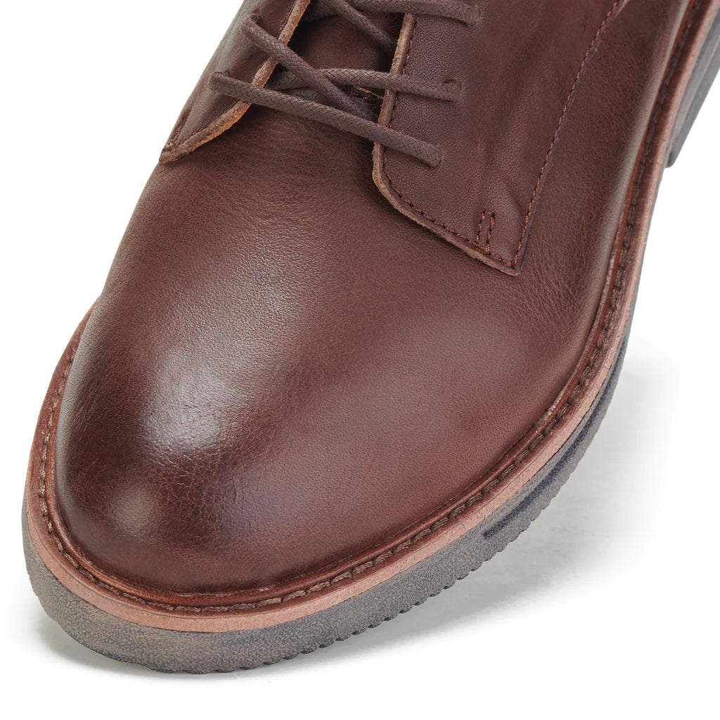 Rollie Brogue Vintage Mocha