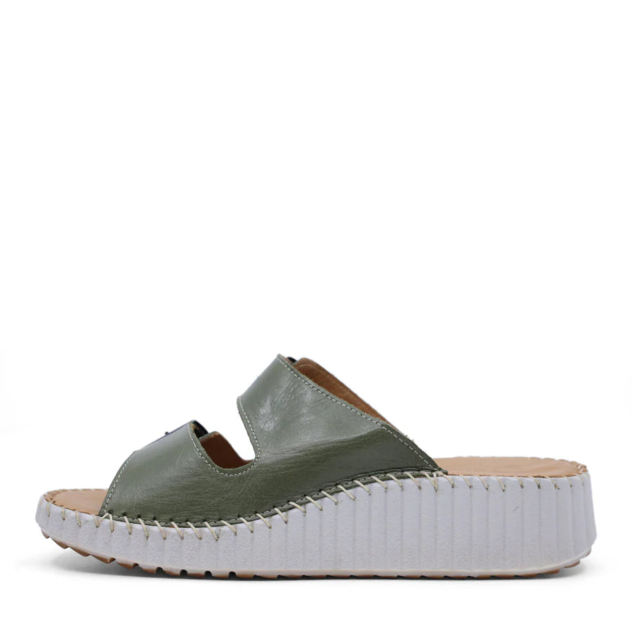 Sala Solena Dark Olive