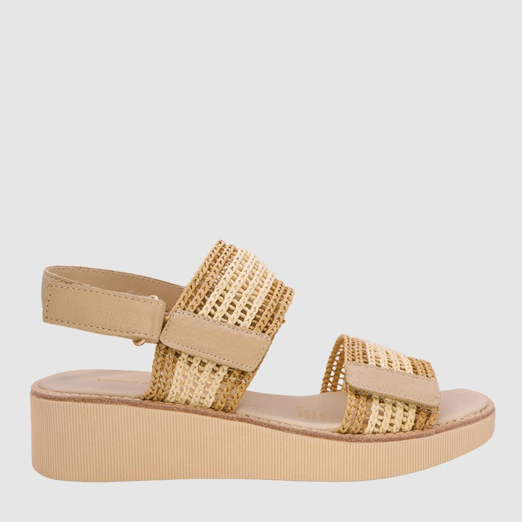 D & J Taylor Raffia