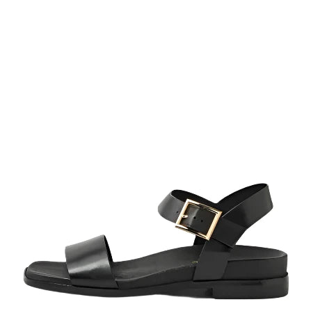 D & J Elissay Black