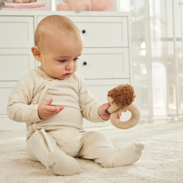 Baby Hedgehog Rattle